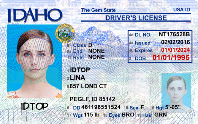 IDAHO Fake IDs