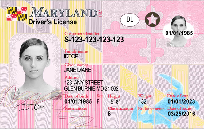MARYLAND-New Fake IDs