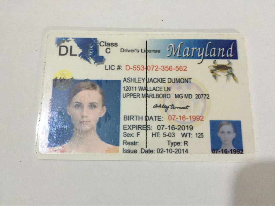 MARYLAND Fake IDs
