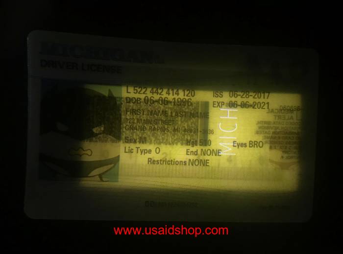 MICHIGAN Fake IDs - Click Image to Close