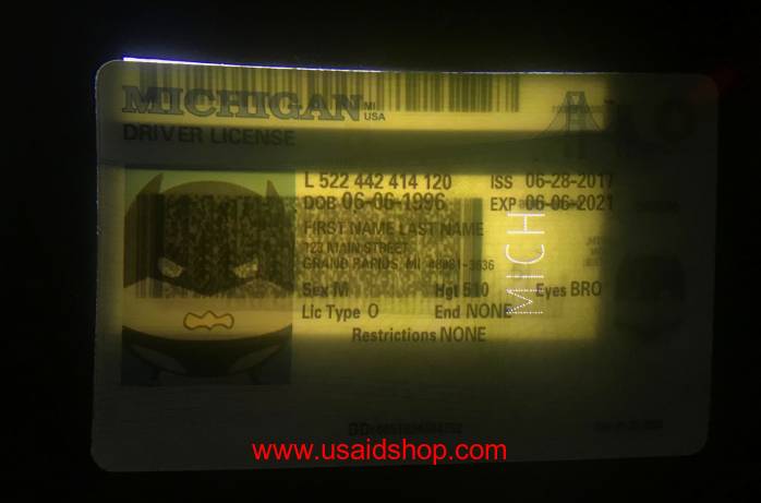 MICHIGAN Fake IDs - Click Image to Close
