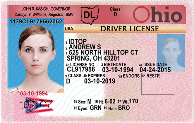 OHIO Fake IDs