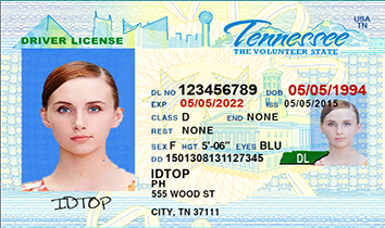 TENNESSEE Fake IDs