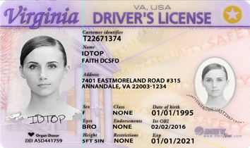 VIRGINIA Fake IDs